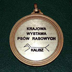 2009kalisz_medal1